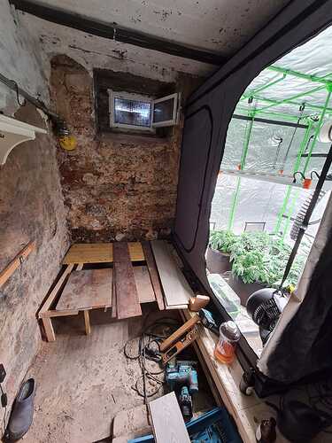 Growreport Bild 1