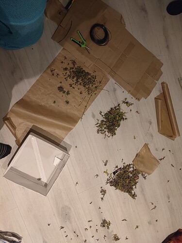 Growreport Bild 8
