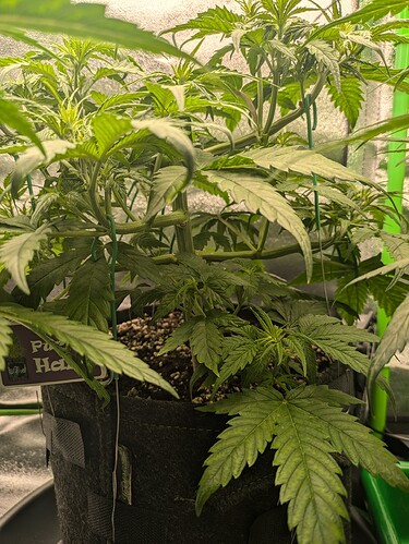 Growreport Bild 22