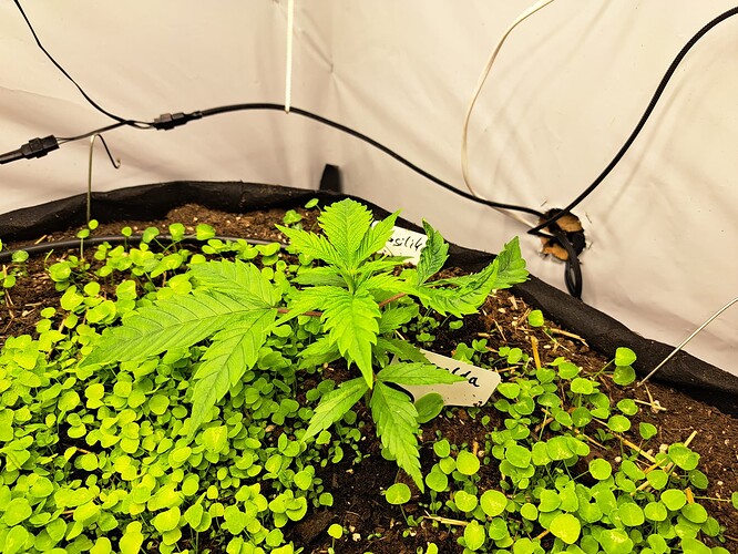 Growreport Bild 11