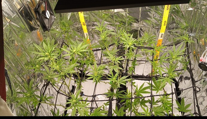 Screenshot_20250420_191941