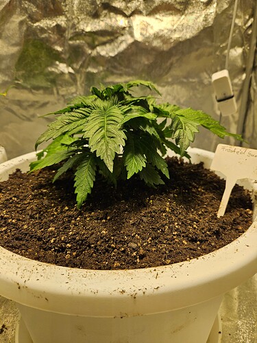 Growreport Bild 10