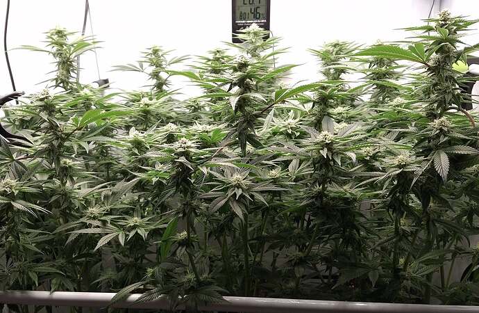 475463760_122165768954293599_1302222174301842483_n