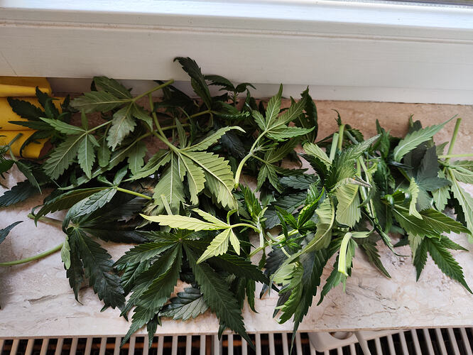Growreport Bild 7