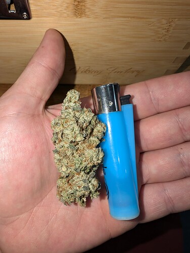 Growreport Bild 2
