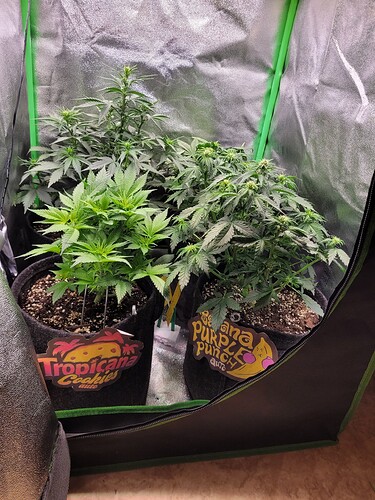 Growreport Bild 13