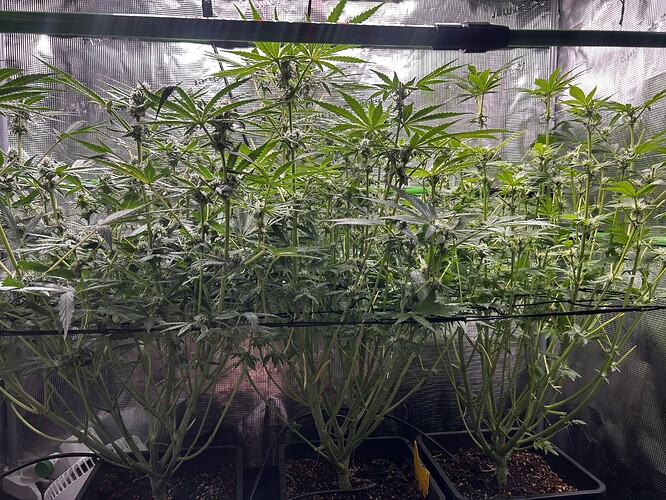 Growreport Bild 24