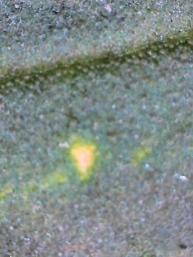 2025-07-27-19-10-38-482