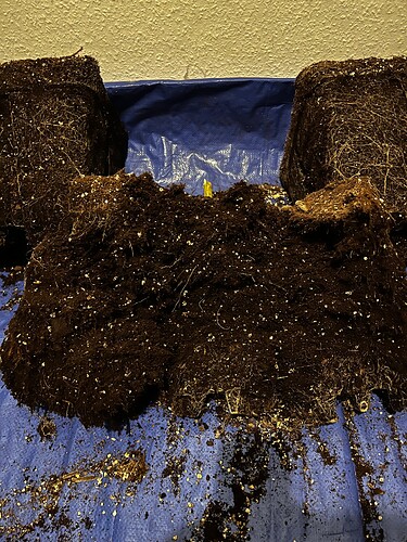 Growreport Bild 10