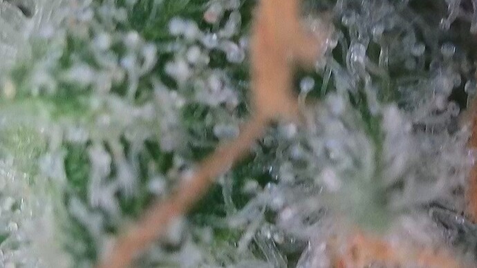Growreport Bild 24