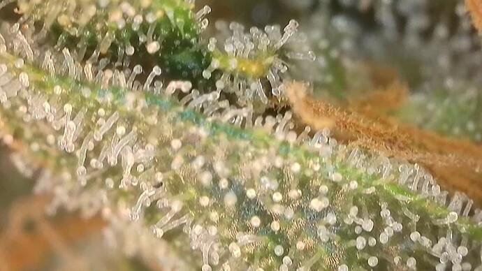 2024-09-29-182823291