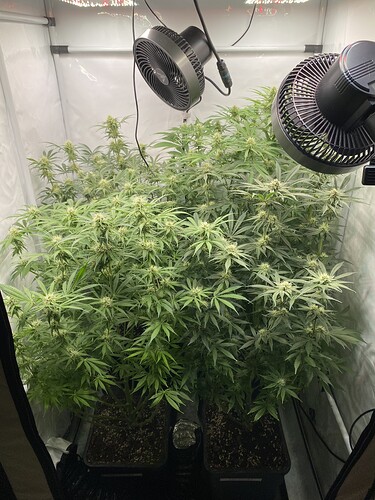 Growreport Bild 5