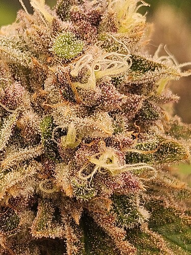 Growreport Bild 21