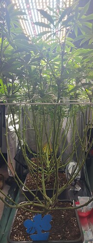 Growreport Bild 10