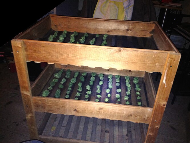 Grow25_1016b_5