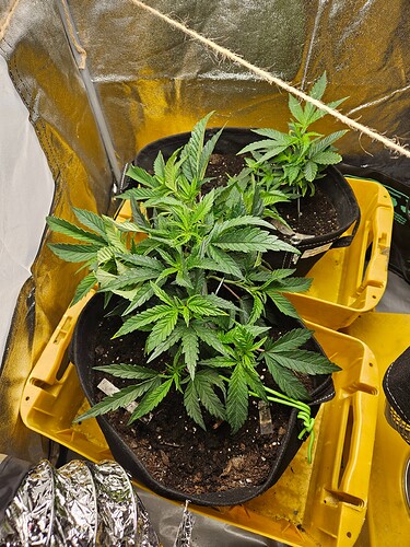 Growreport Bild 17