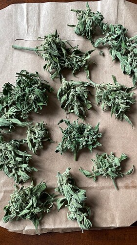 7ba1c6ab-24a6-4557-a10c-3b82d9839b21