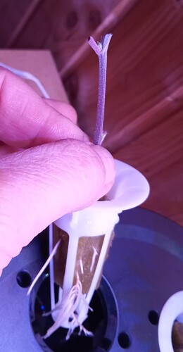 Screenshot_20250219_181156