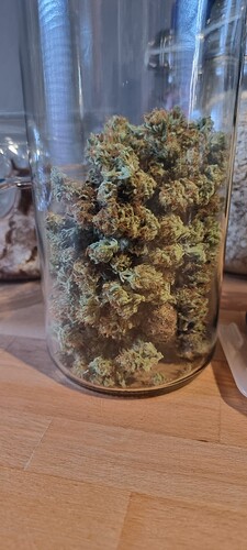 Growreport Bild 2