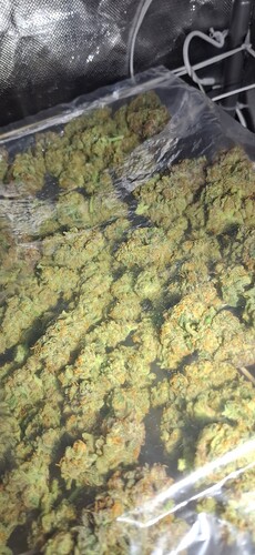 Growreport Bild 5
