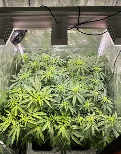Growreport Bild 12