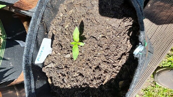 Growreport Bild 11