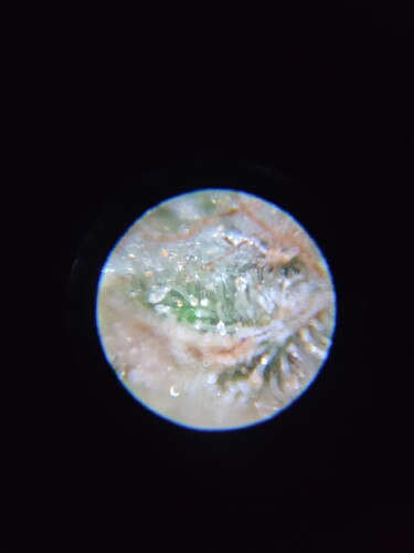 Growreport Bild 22