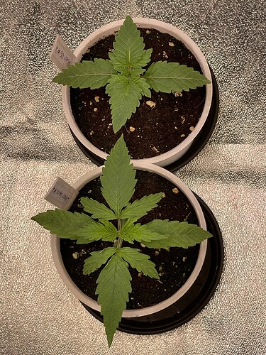 Growreport Bild 10