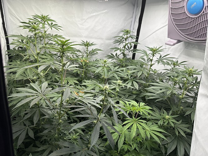 Growreport Bild 1
