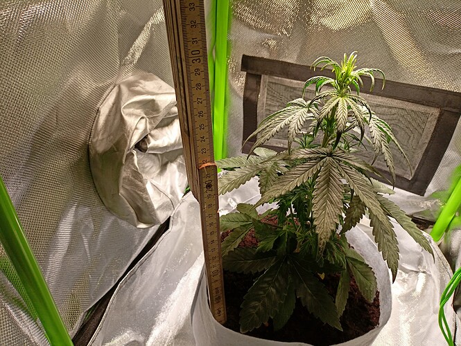 Growreport Bild 6