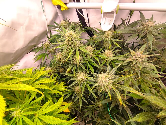 Growreport Bild 23