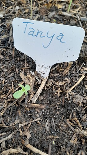 Growreport Bild 24