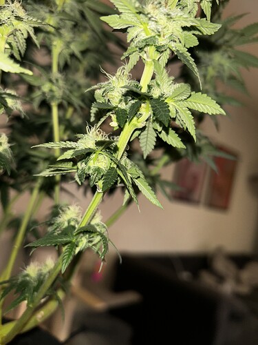 Growreport Bild 3