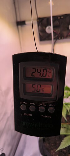 Growreport Bild 6
