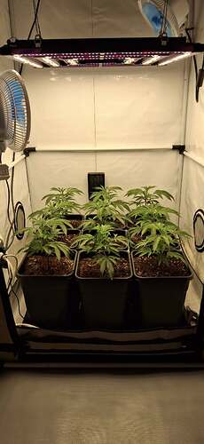 Growreport Bild 14