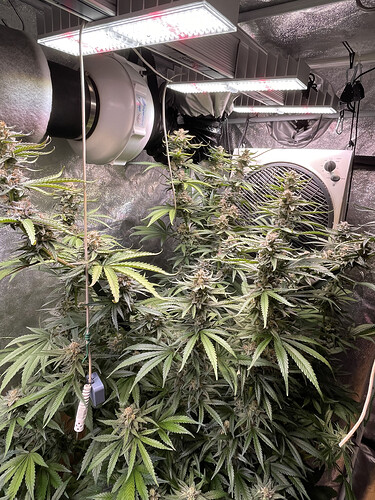 Growreport Bild 2