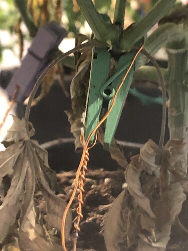 Growreport Bild 22