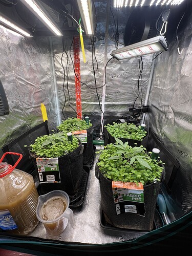Growreport Bild 6