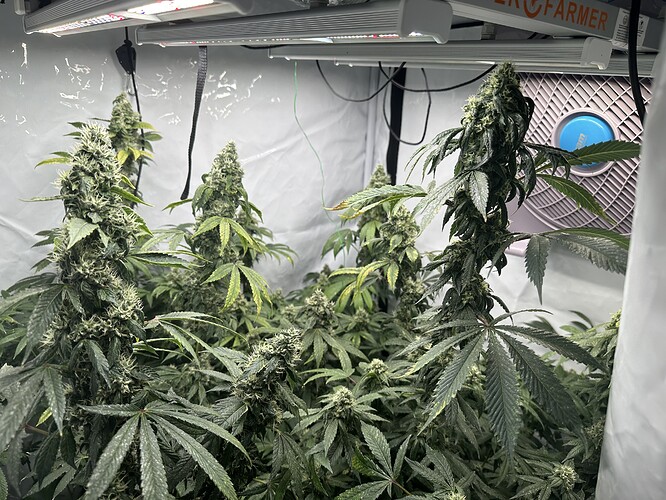 Growreport Bild 1