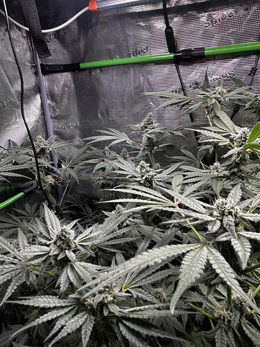 Growreport Bild 21