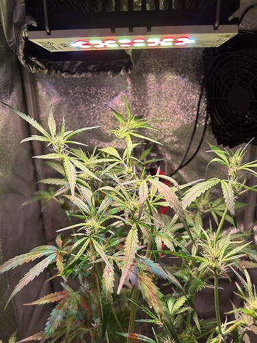 Growreport Bild 4