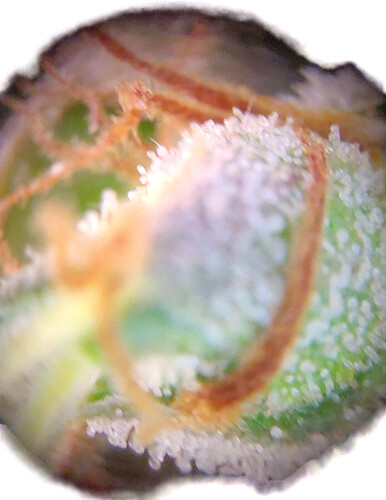 Growreport Bild 8