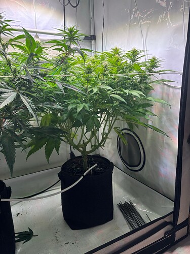 Growreport Bild 4