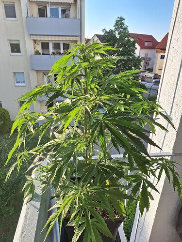 Growreport Bild 11