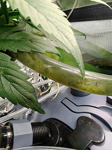 Growreport Bild 4