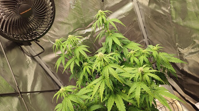 Growreport Bild 1