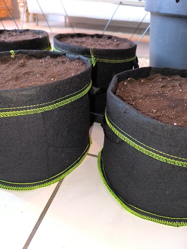 Growreport Bild 26