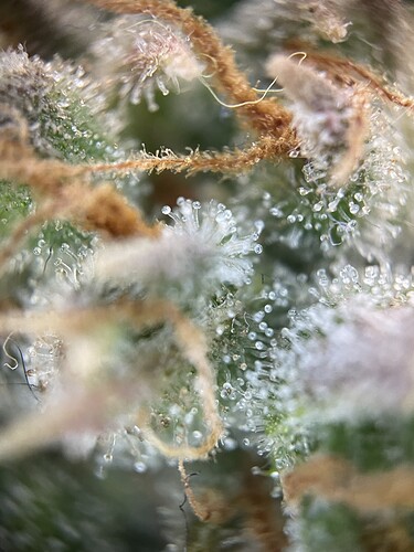 Growreport Bild 23