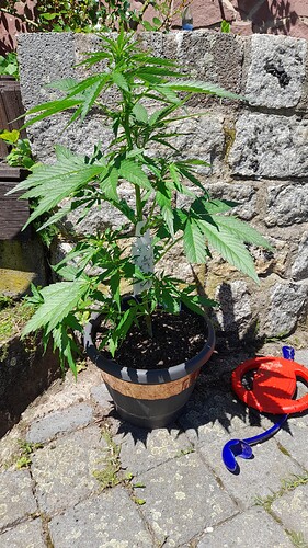Growreport Bild 1