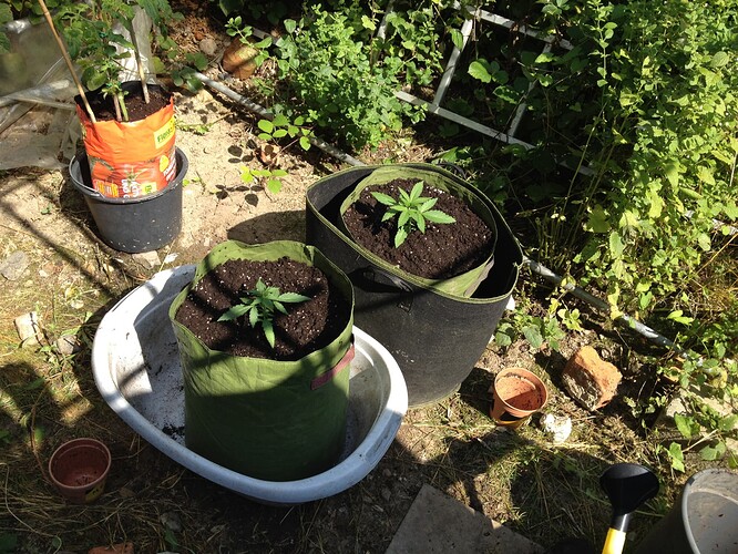 Growreport Bild 48